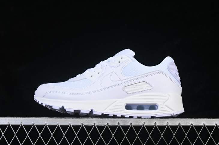 Picture of Air Max 90 _SKUfw22003340979274080fw